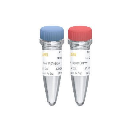 Reagenzkit Ligase ADN Hieff NGS Yeasen Biotechnology Shanghai