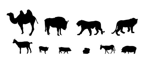 Silhouette of Wild and Domestic Animals. Black and White 4708876 Vector Art at Vecteezy