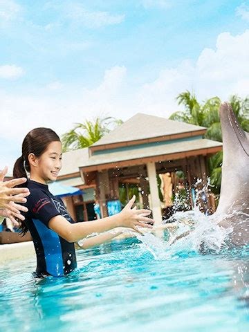 Book Dolphin Island Tickets 2023 | Singapore Attractions