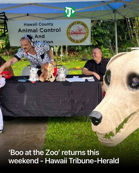 The tribune herald hawaii scoop that went national overnight 2