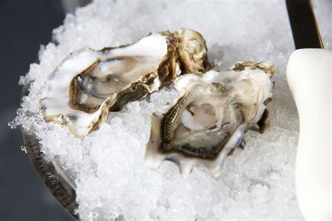 Pickering Pass Oysters Oysterology Online — Pangea Shellfish Company