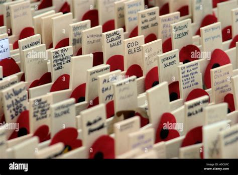 Poppies and crosses at Remembrance Day Armistice Day Stock Photo - Alamy