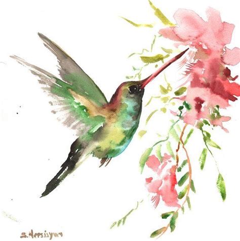 PICAFLOR Watercolor Bird Watercolor Hummingbird Birds Painting