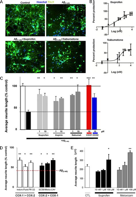 Identification Of Small Molecule Inhibitors Of Neurite Loss Induced By