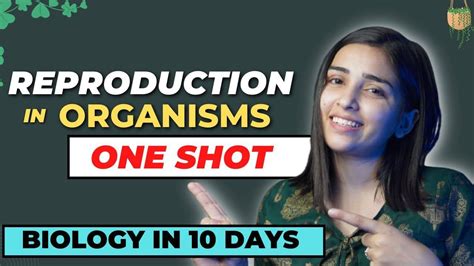 Reproduction In Organisms In One Shot Neet 2022 Youtube