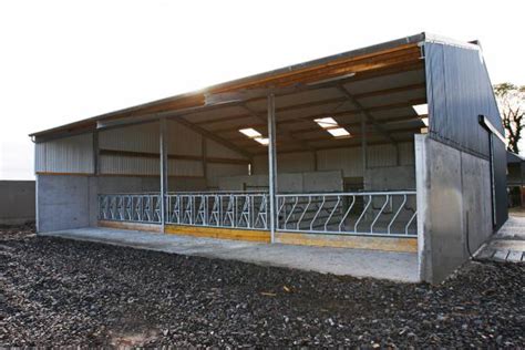 Tidy Suckler Shed For 20 Cow Herd 01 May 2013 Premium