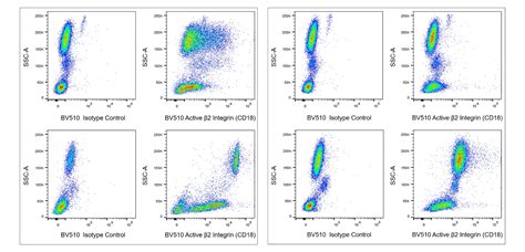 Bv Mouse Anti Human Active Integrin Cd