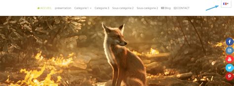 integrer google traduction  son site cmonsite