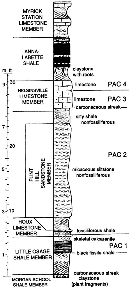 Stratigraphic Column Symbols