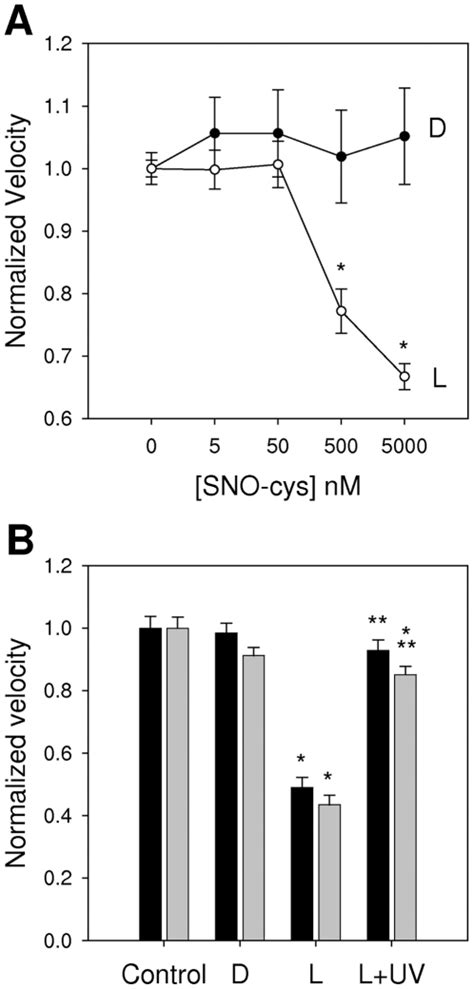 A Dose Response Showing That Sno L Cysteine The Naturally Occurring