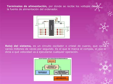 Partes Internas Del Microprocesador PPT