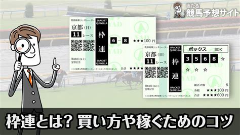 競馬の枠連とは？他の馬券との違いや上手な買い方を公開！ よく当たる競馬予想サイトランキング