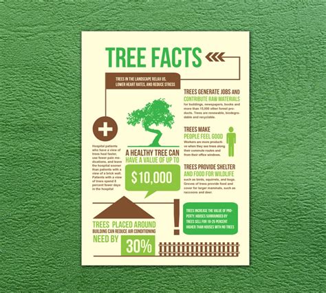 How Many Species of Trees are there in the World ? | Know-It-All