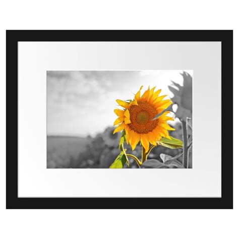 East Urban Home Gerahmtes Poster Nahaufnahme Einer Sonnenblume Wayfair De