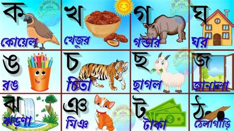 ক খ গ ঘ বযঞজনবরণ গল ছব দয পড match bengali alphabets with