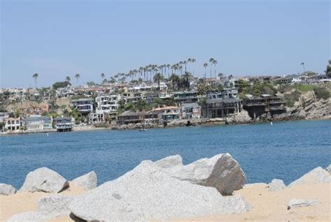 THE 10 BEST Restaurants in Balboa Island (Updated October 2023)