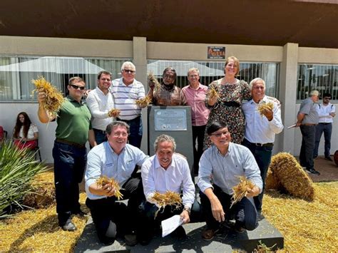 Dia Do Plantio Direto Celebra T Cnica Revolucion Ria Para A Agricultura