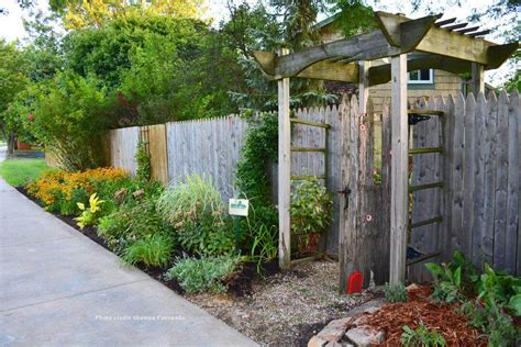 How to Fix an Overgrown Garden | Kellogg Garden Organics™