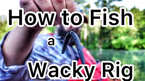 Flukemaster How To Fish A Wacky Rig And Other Details About A Senko