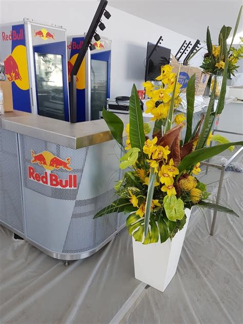 Redbull 2018 Riviera Plantes