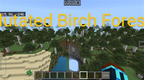 Minecraft Mutated Birch Forest YouTube