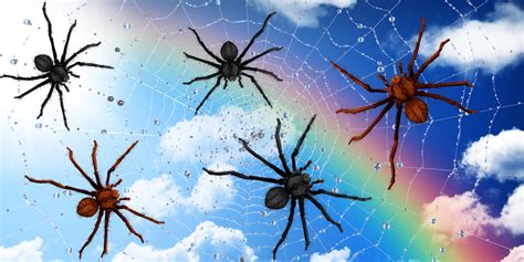 🔥 40 Live Wallpapers Spiders Wallpapersafari