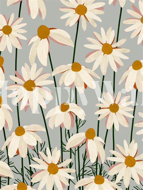 Daisy Wallpaper Breathtaking Floral Mural Patterns Happywall