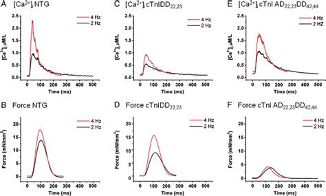 Calcium Sensitivity Force Frequency Relationship And Cardiac Troponin