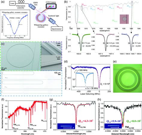 Advances In Lithium Niobate Photonics Development Status And Perspectives