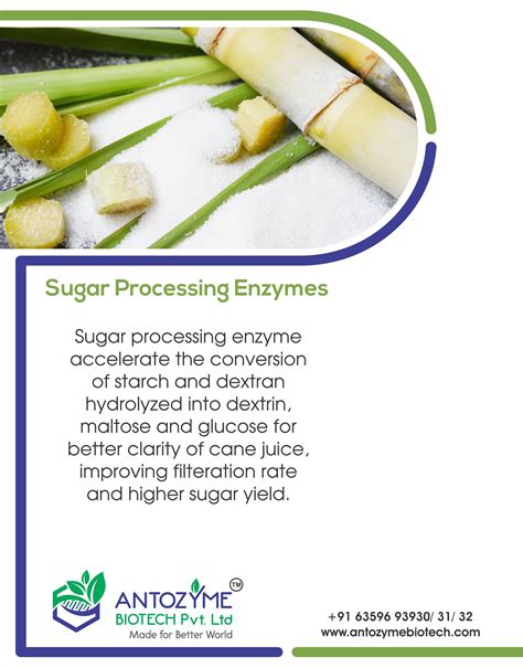 Enhance The Quality Of Sugar With Sugar Processing Enzyme