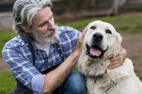 L Arthrose Chez Le Chien Blog