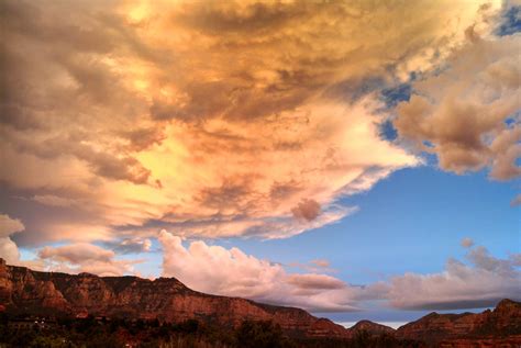 find    dis ease blue bear healing