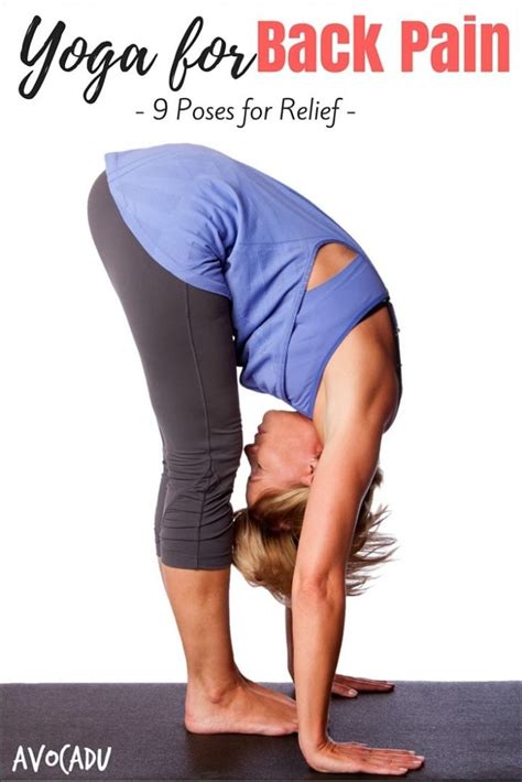 Yoga for Back Pain Relief, 9 Best Poses | Avocadu