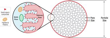 Pore Size Vs Particle Size In HPLC Columns Chrom Tech Inc