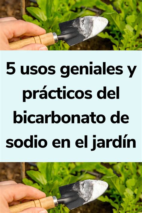 Usos Geniales Y Pr Cticos Del Bicarbonato De Sodio En El Jard N