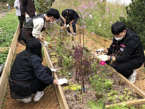 스트레스 고위험군 대학생 ‘농업활동 정신건강 긍정적