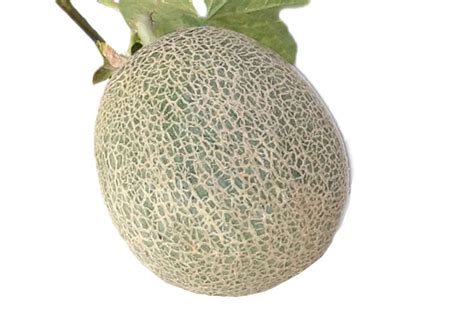 Semillas de Melón CapGen Seeds