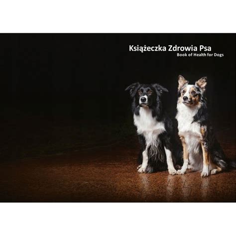 Ksi Eczka Zdrowia Psa Border Collie Allegro Pl