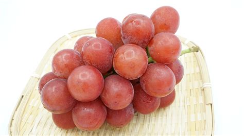 These Rare Japanese Grapes Could Cost You Thousands