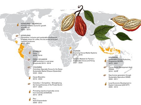 Indonesian Cocoa Bean Value Chain Case Study