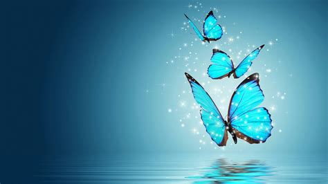 Borboletas Azuis Butterfly Wallpaper Blue Butterfly Wallpaper