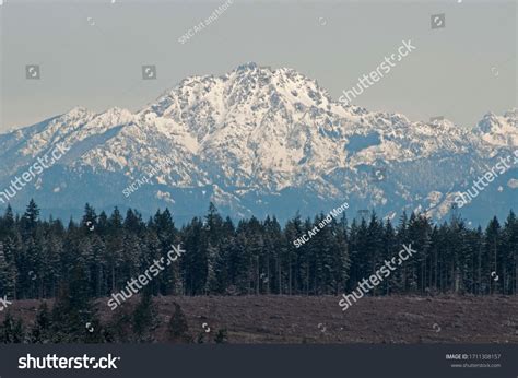 451 Shelton washington Images, Stock Photos & Vectors | Shutterstock