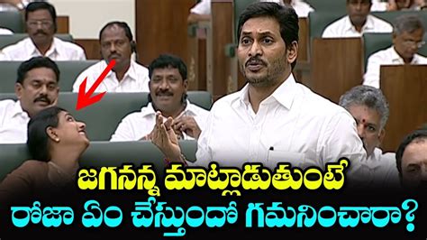 Mla Roja Reaction On Ap Cm Ys Jagan Assembly Speech Ap Assembly