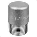 Forged Ss L Threaded Round Head Plug Virtual Building Supply