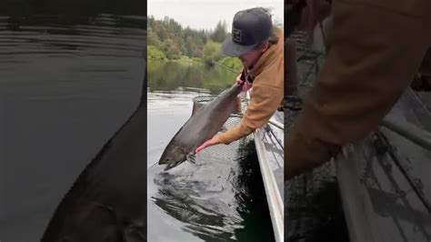 Personal Best Chinook Salmon Release Youtube