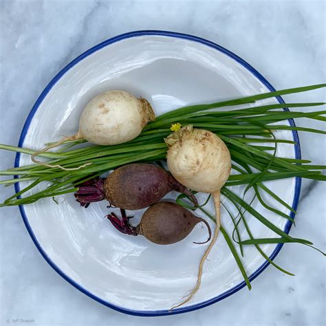 Turnip And Beet Gratin Recipe Zous Chef