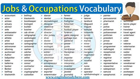 40 Job And Occupation Vocabulary English Vocabulary Vocabulary