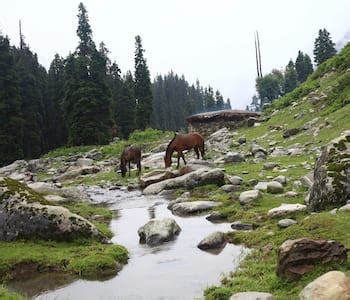 Anantnag, India - Anantnag Tourism | Anantnag Travel Guide - Yatra.com