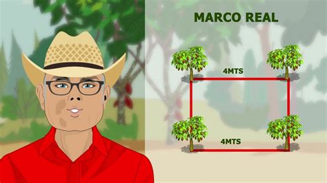 02 Que es un Marco de Plantación YouTube