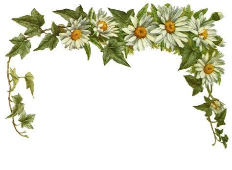 Imagen De Flores De Arte Antiguo Png Png Mart